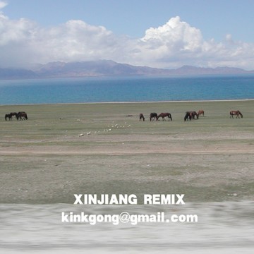 Xinjiang Kink Gong Remix