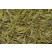 Anji Bai Cha