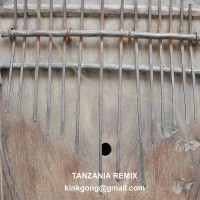 Tanzania Kink Gong Remix